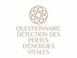 QUESTIONNAIRE ENRGIES VITALES