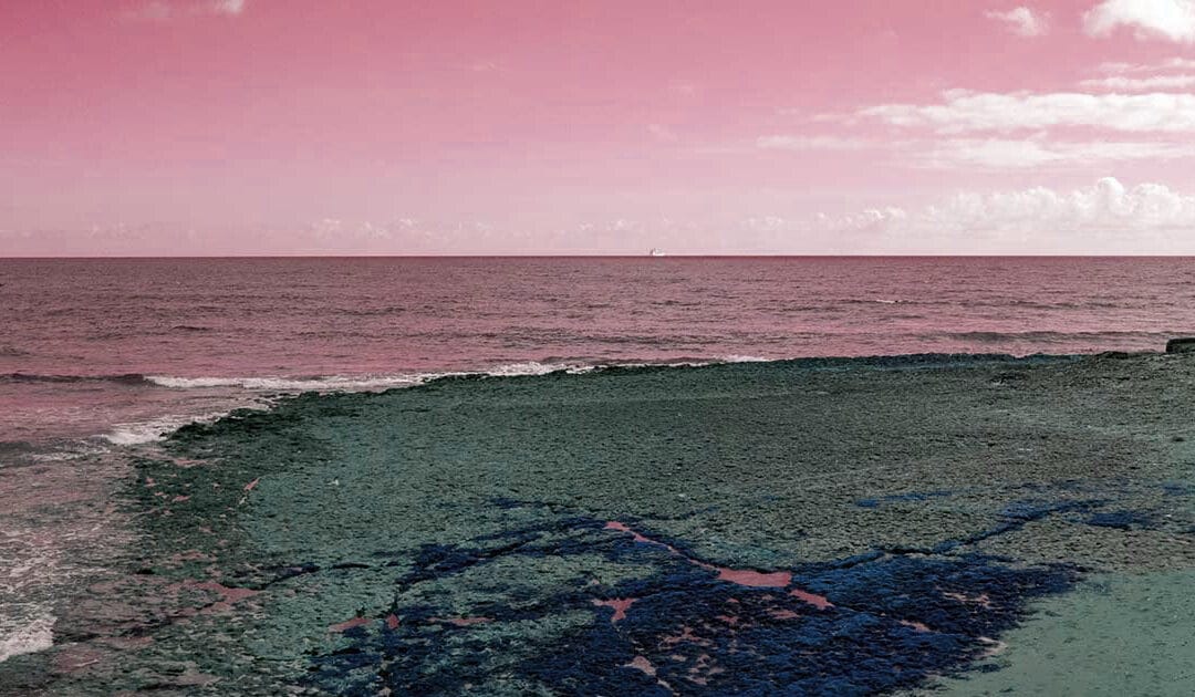 Pacific Ocean Pink